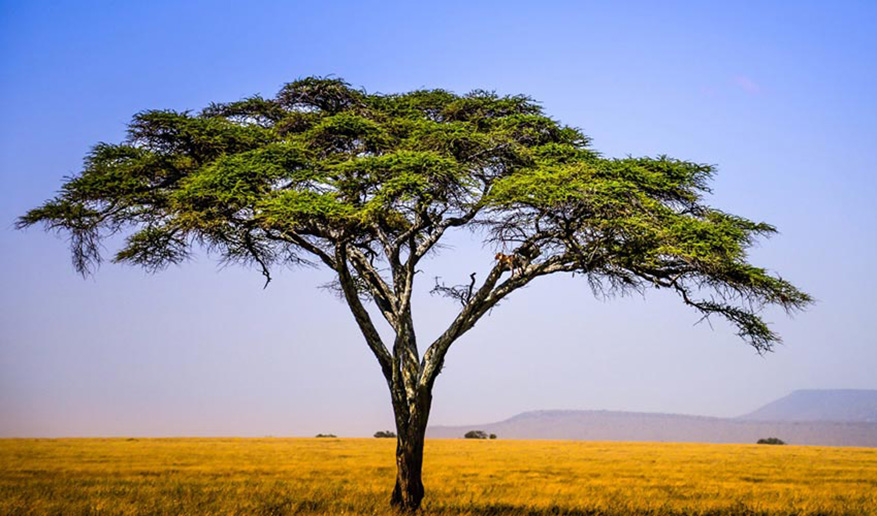 Water Problem in Africa